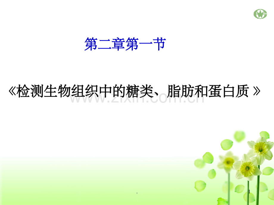 检测生物组织中的糖类-脂肪和蛋白质.ppt_第1页