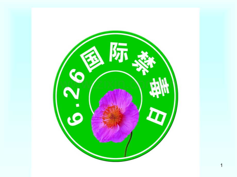 国际禁毒日.ppt_第1页