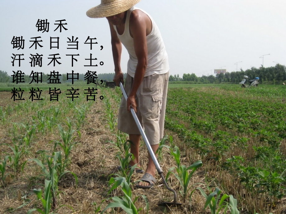 五年级下册《诗配画》.ppt_第2页