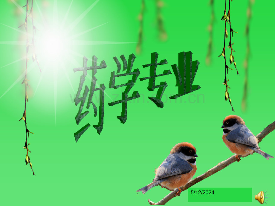 药学专业幻灯片实例.ppt_第1页