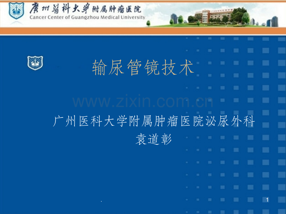 输尿管镜技术.ppt_第1页
