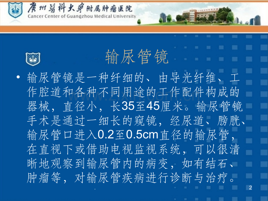 输尿管镜技术.ppt_第2页