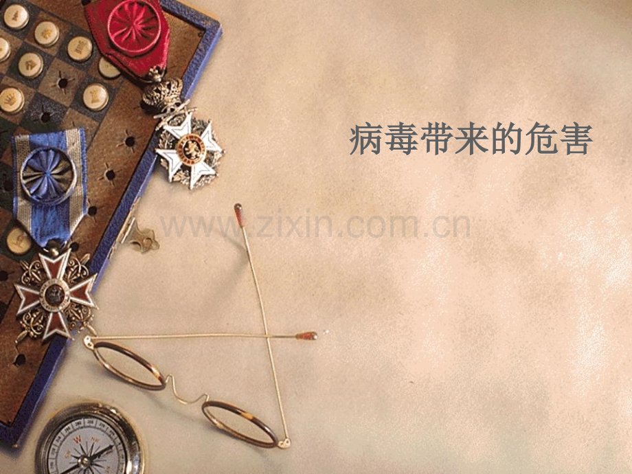 病毒带来的危害.ppt_第1页