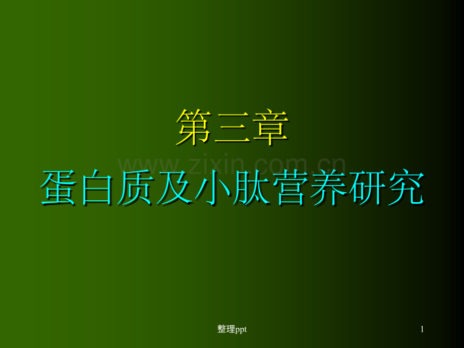《蛋白及肽营养研究》.ppt_第1页
