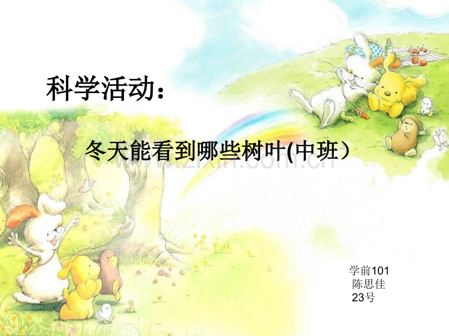 冬天能看到哪些树叶(中班).ppt_第1页