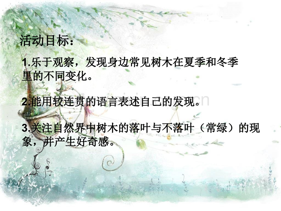 冬天能看到哪些树叶(中班).ppt_第2页