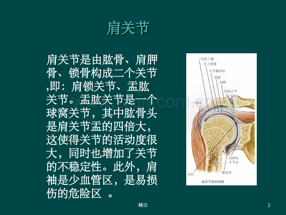 肩关节MRI检查及其常见病表现.ppt_第2页
