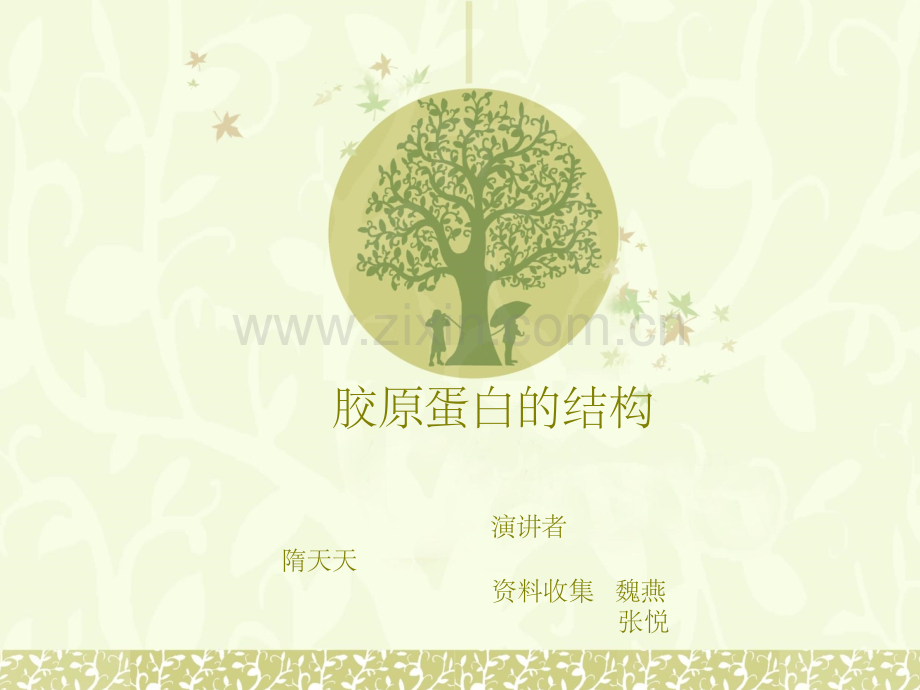 胶原蛋白的结构.ppt_第1页