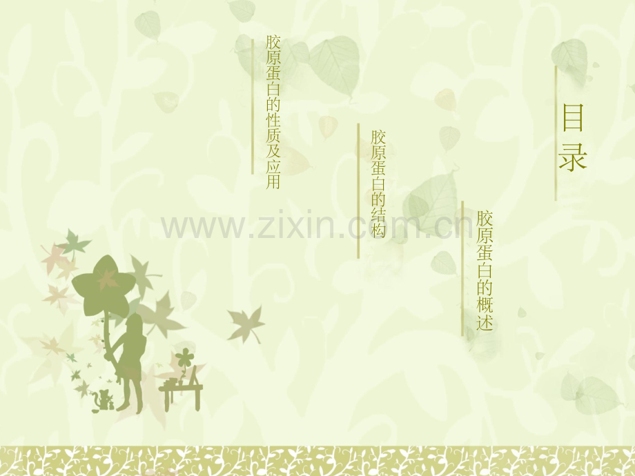 胶原蛋白的结构.ppt_第2页