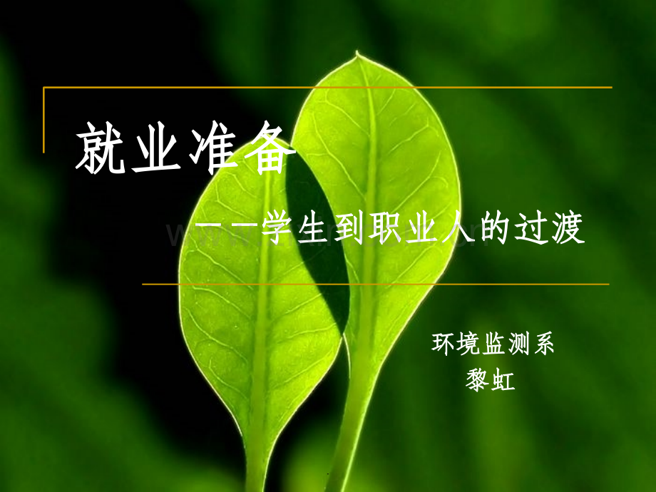 第五讲-就业准备——学生到职业人的过渡.ppt_第1页