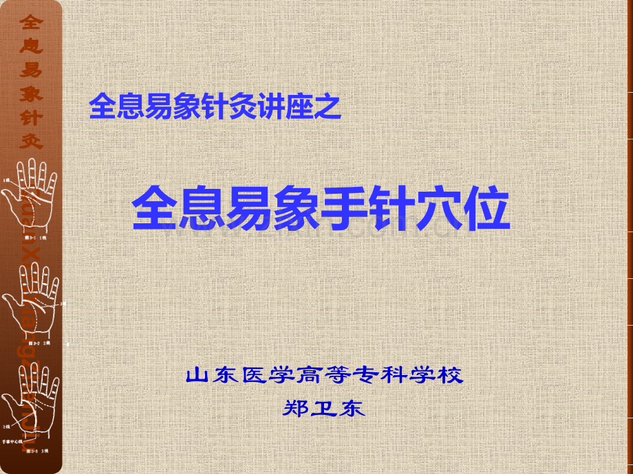全息易象针灸-手针穴位系统医学PPT课件.ppt_第1页