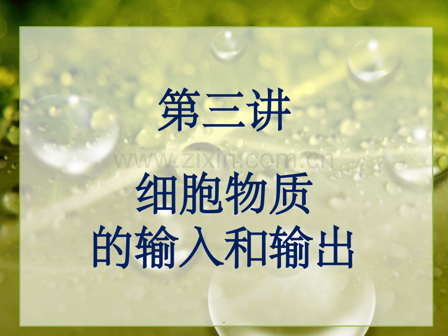 高中生物一轮复习专题——细胞的物质输入和输出.ppt_第1页