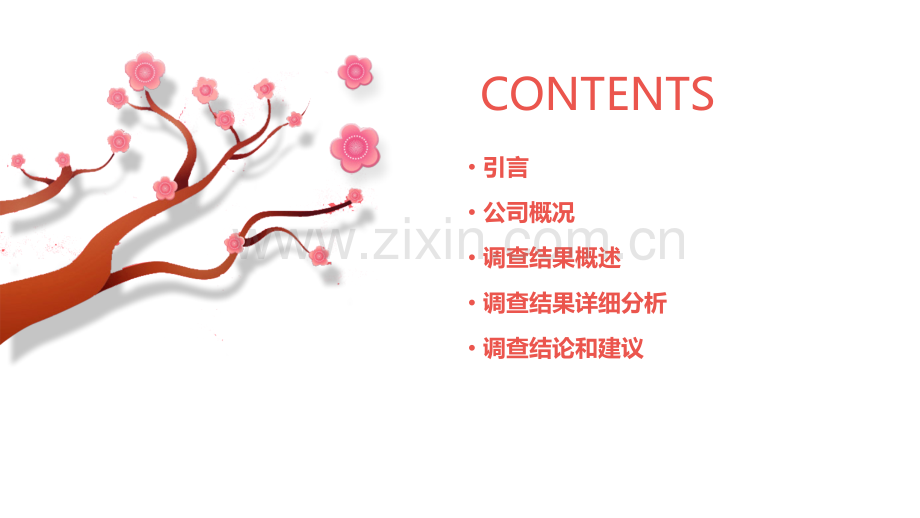 公司的调查报告.pptx_第2页