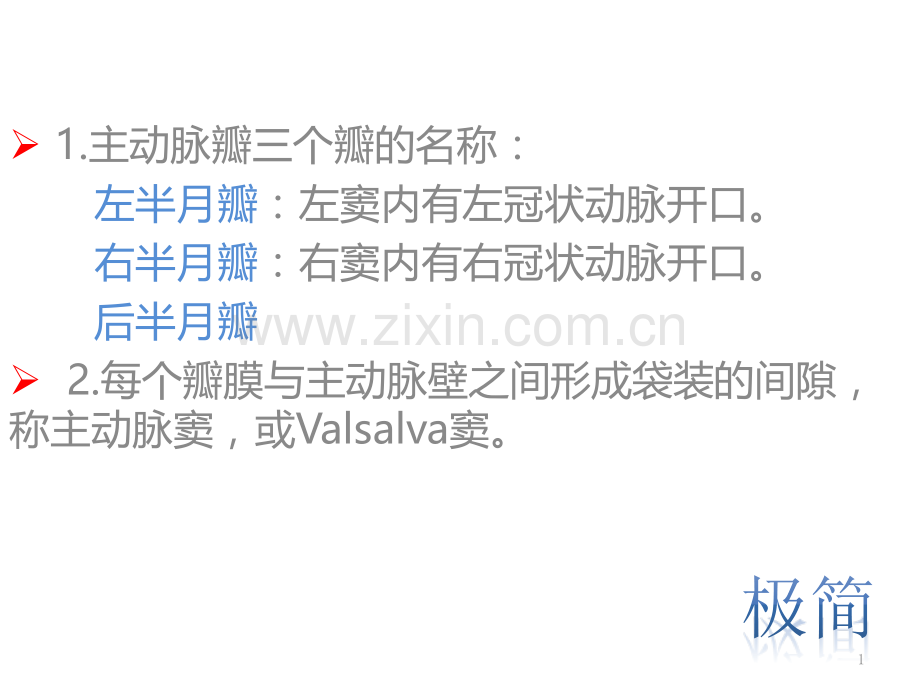 主动脉根部解剖.ppt_第1页