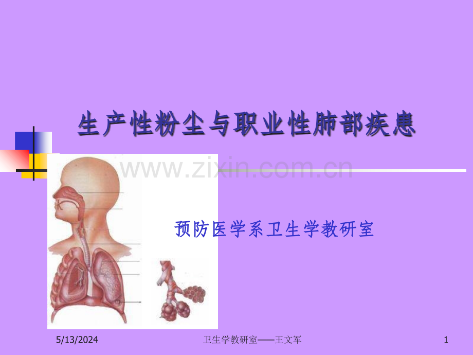 生产性粉尘与肺部疾患.ppt_第1页