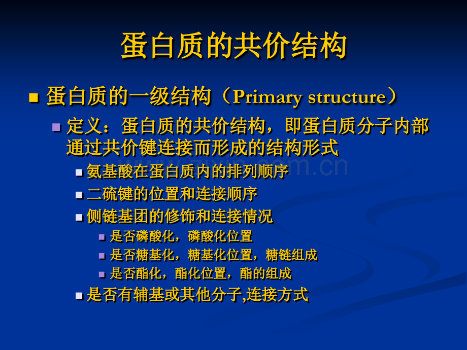 《蛋白质II》.ppt_第2页