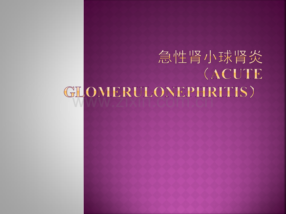 肾炎肾病.ppt_第1页