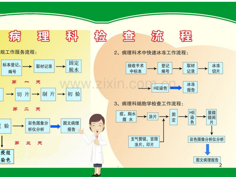 病理科宣传栏.ppt_第2页