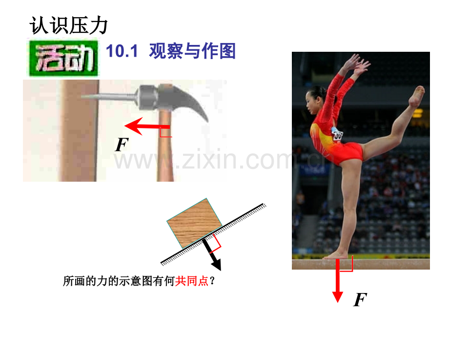 苏科版10.1压强.ppt_第2页