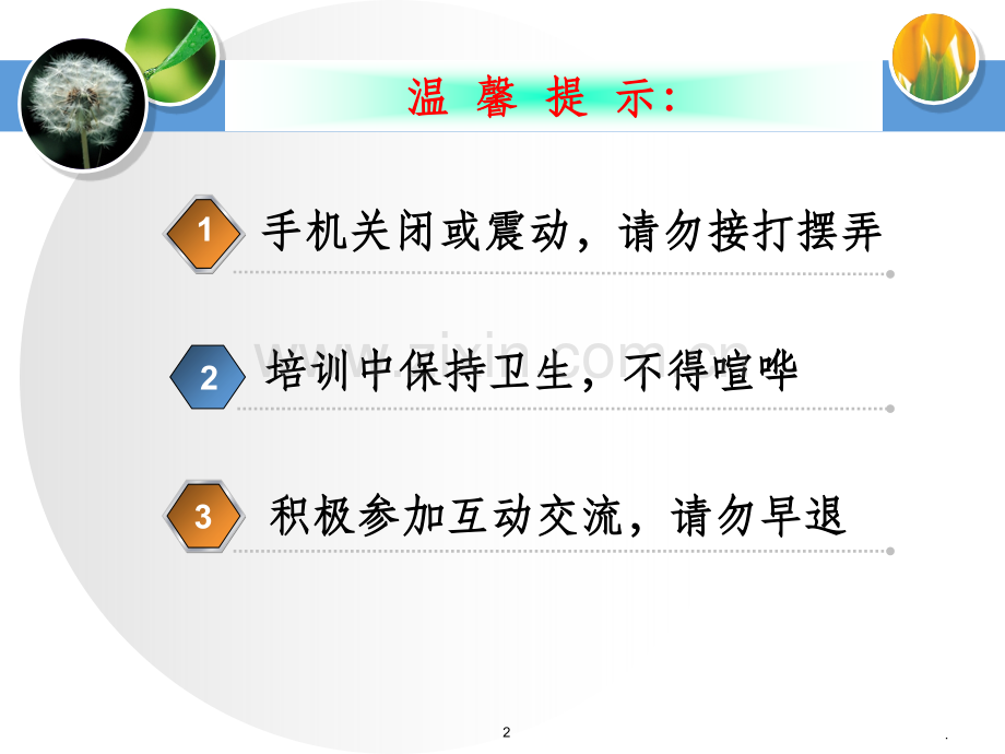 幼儿园主题墙创设指导.ppt_第2页