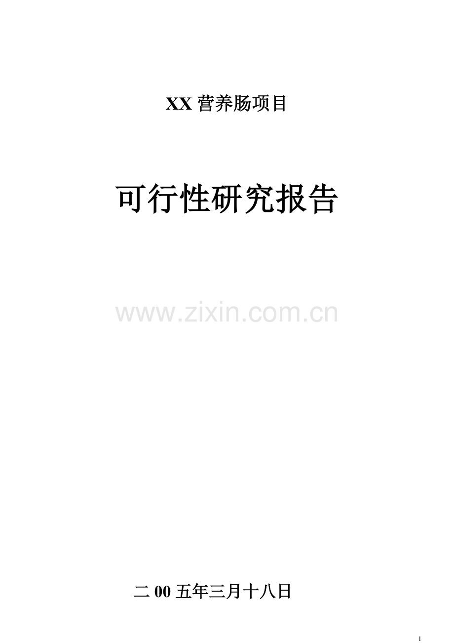 x营养香肠项目可行性研究报告.doc_第1页