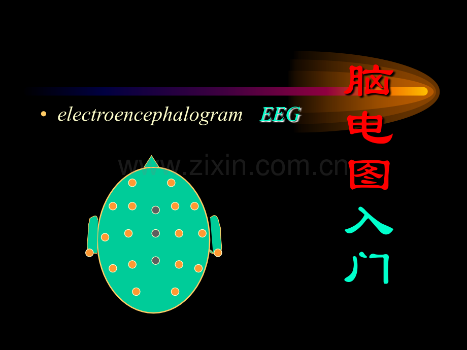脑电图入门.ppt_第2页