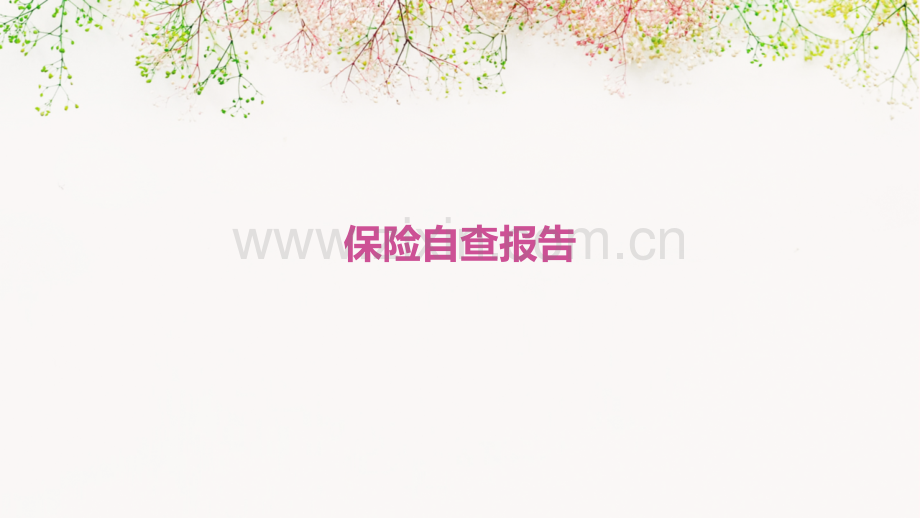 保险自查报告.pptx_第1页