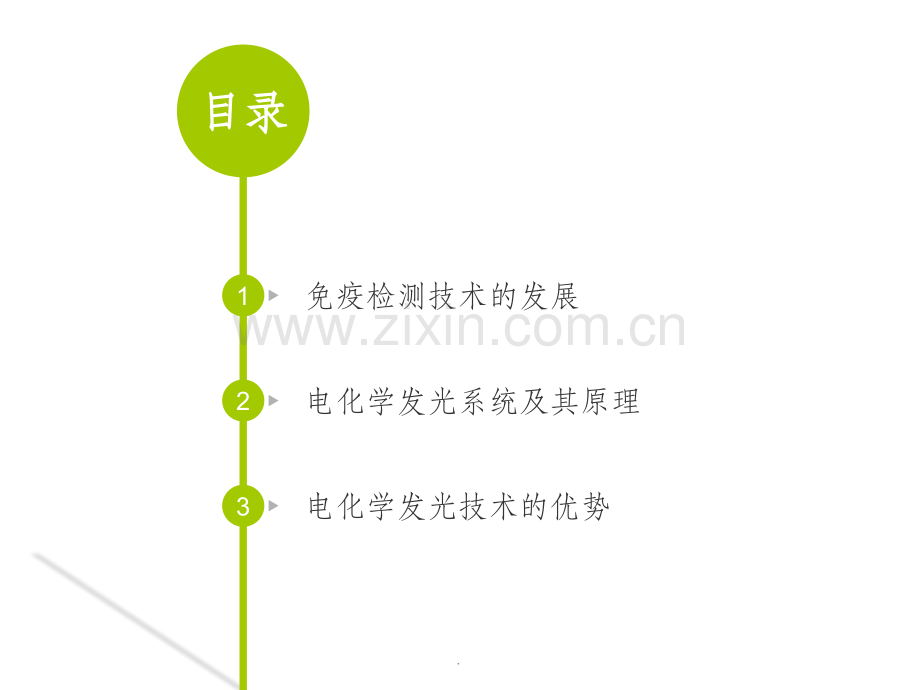 电化学发光检验的原理.ppt_第2页
