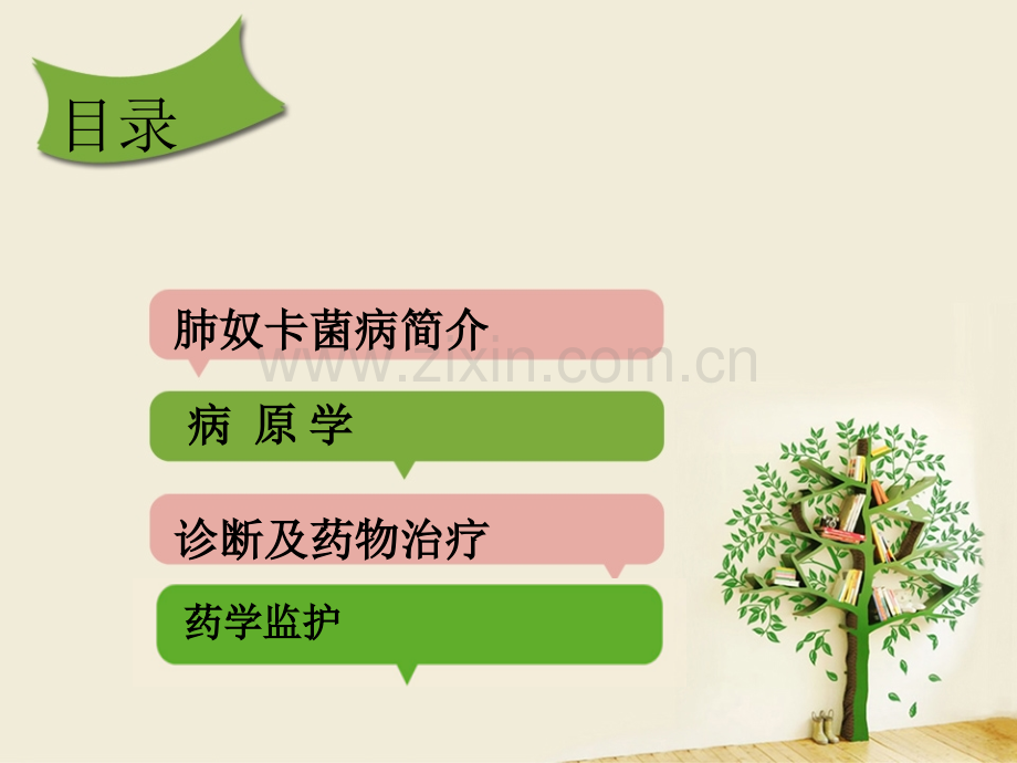 肺奴卡菌病.ppt_第2页