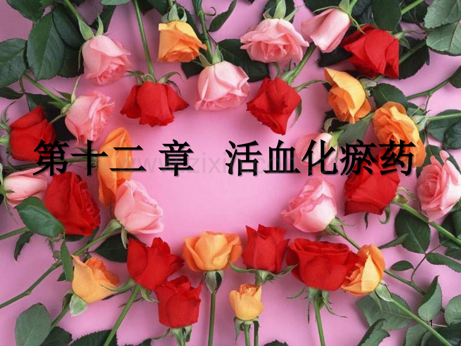 中药学活血药.ppt_第1页