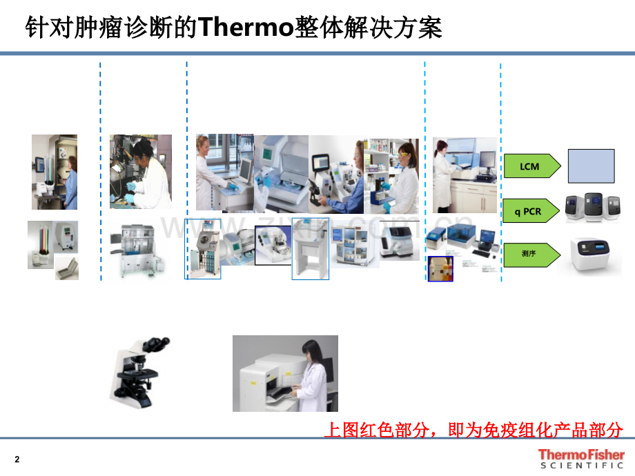 免疫组化检测二抗试剂投标.ppt_第2页