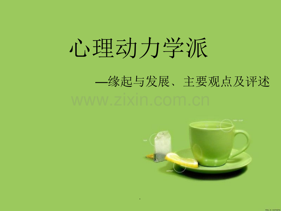 心理动力学.ppt_第1页