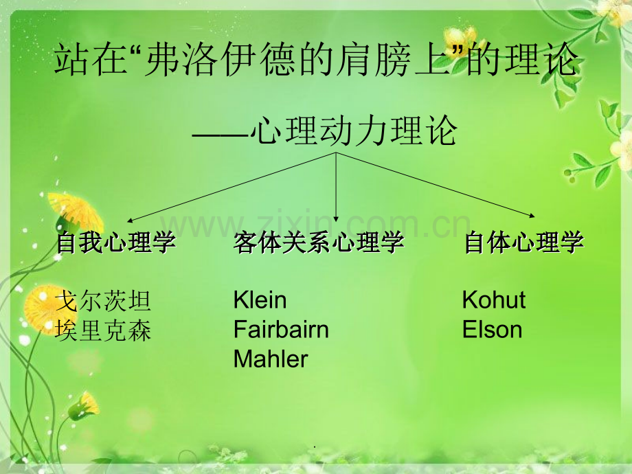 心理动力学.ppt_第2页