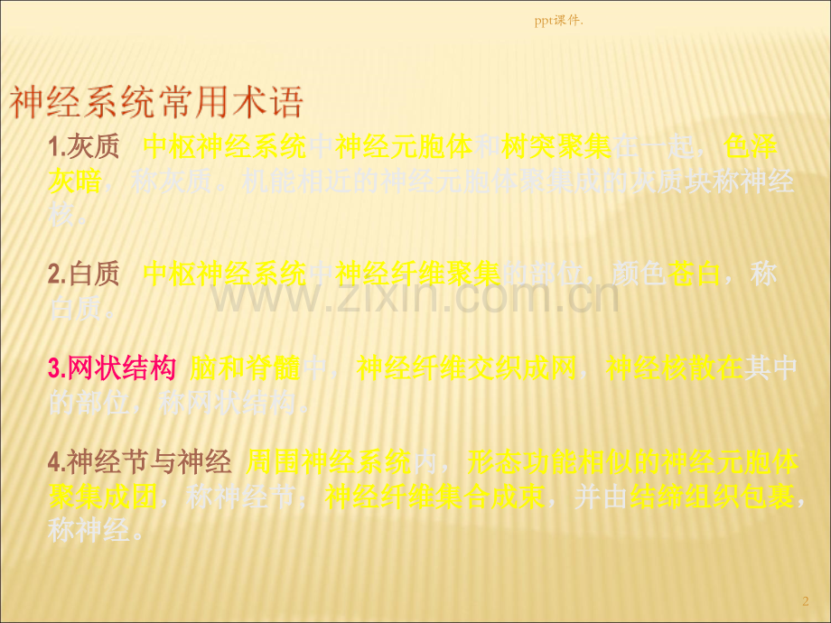 人体解剖生理学神经系统解剖.ppt_第2页