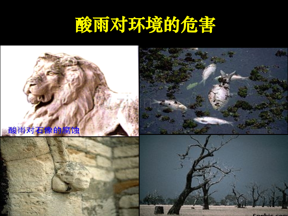 人教版高一化学必修一第四章(4-3-硫和氮的氧化物-(第一课时)).ppt_第2页