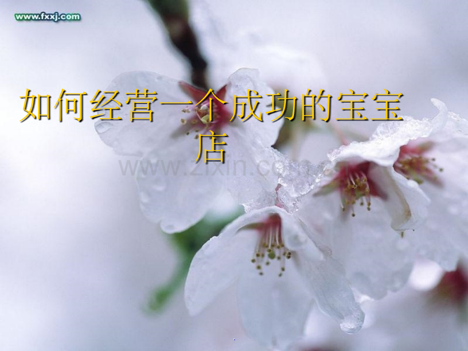 店铺管理知识(大纲).ppt_第1页