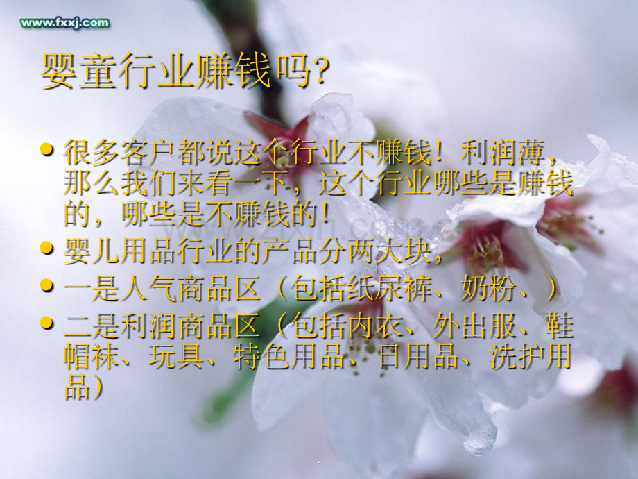 店铺管理知识(大纲).ppt_第2页