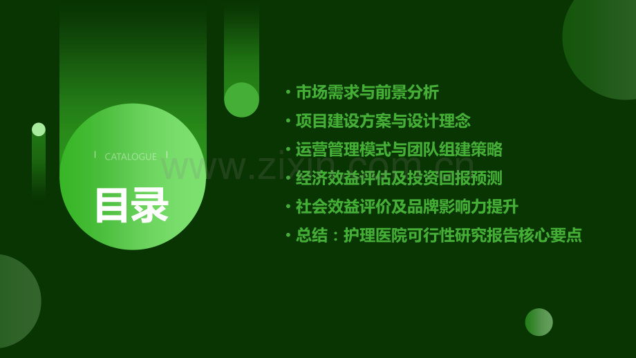 护理医院可行性报告.pptx_第2页