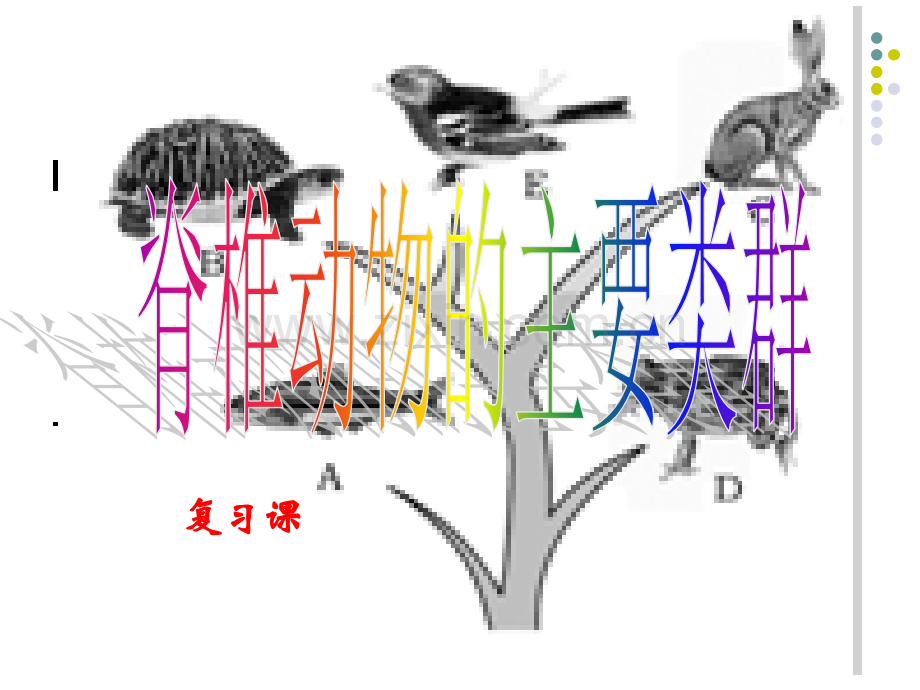 脊椎动物的主要类群(详细)复习课课件.ppt_第1页