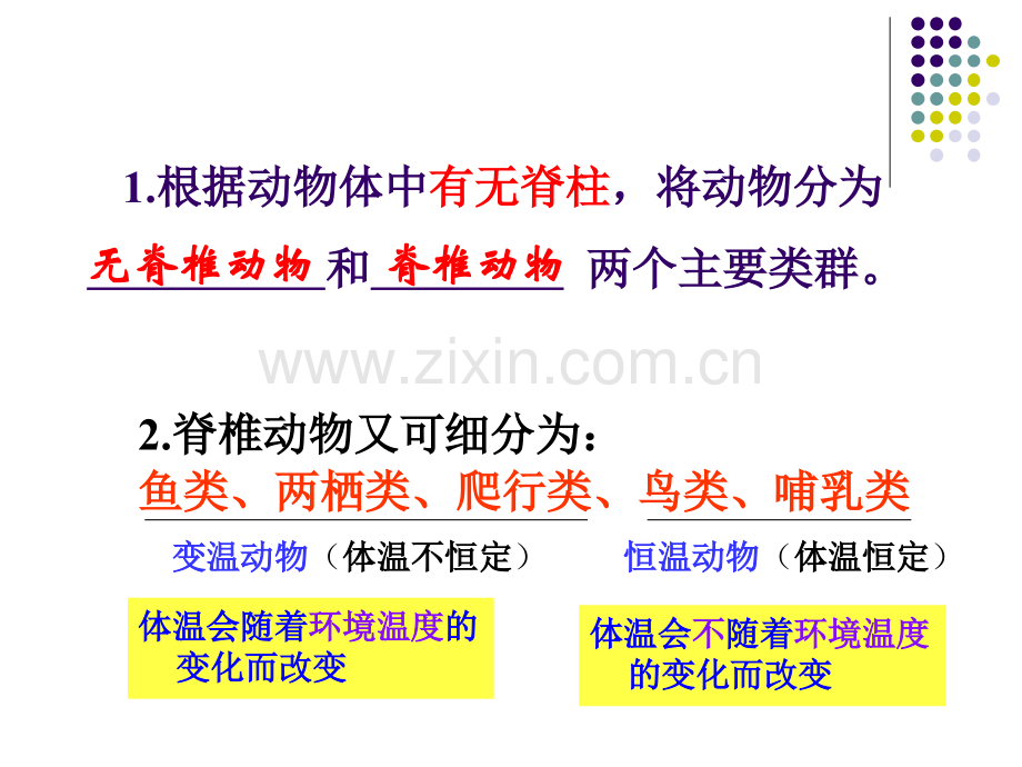 脊椎动物的主要类群(详细)复习课课件.ppt_第2页