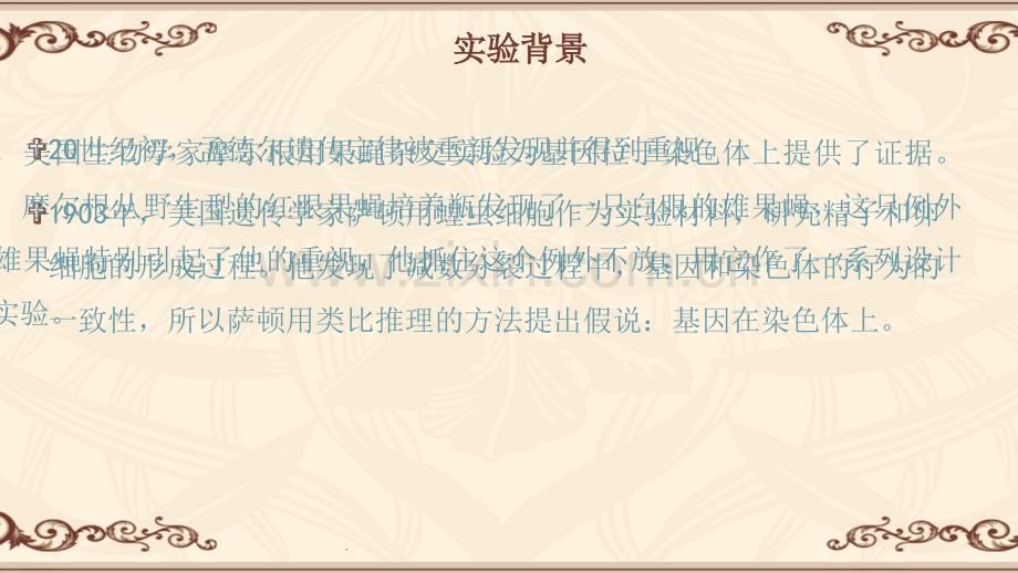 摩尔根果蝇杂交实验.ppt_第2页