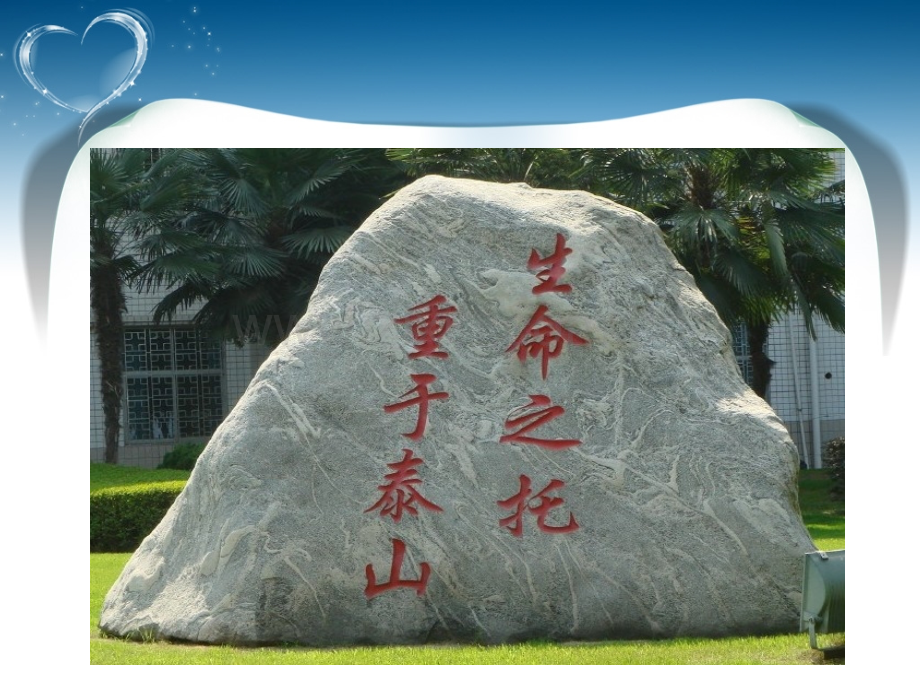 护理安全与自我保护.ppt_第2页