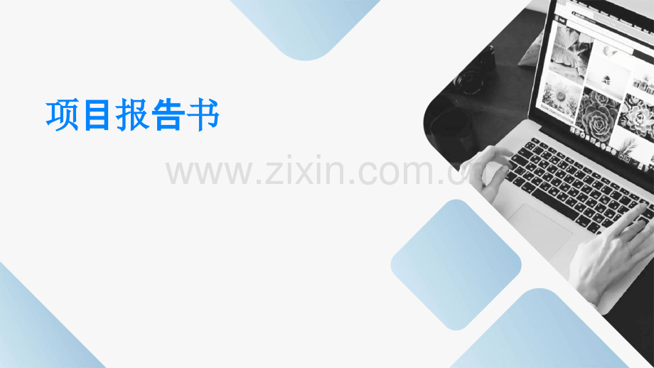 项目报告书.pptx_第1页