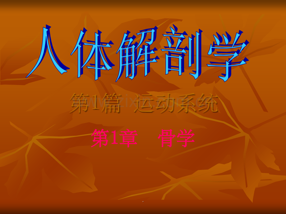 椎骨.ppt_第1页