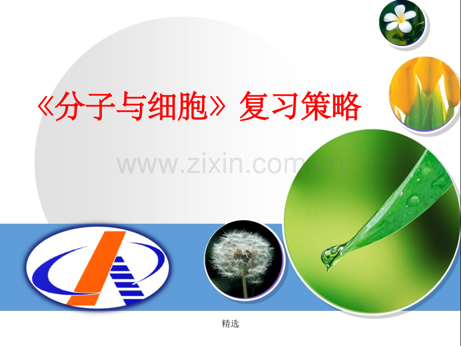 分子与细胞复习.ppt_第1页