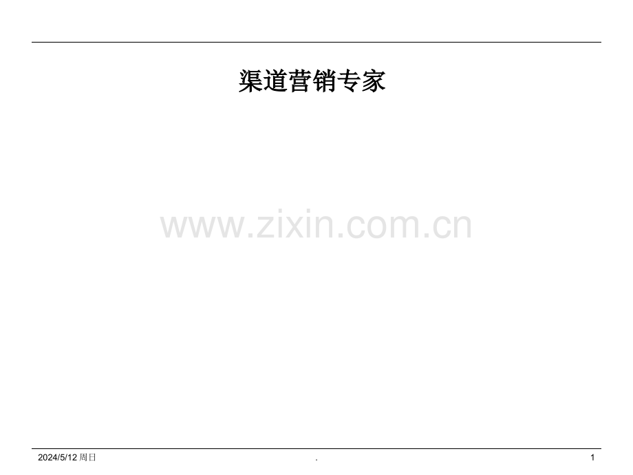 渠道营销专家.ppt_第1页