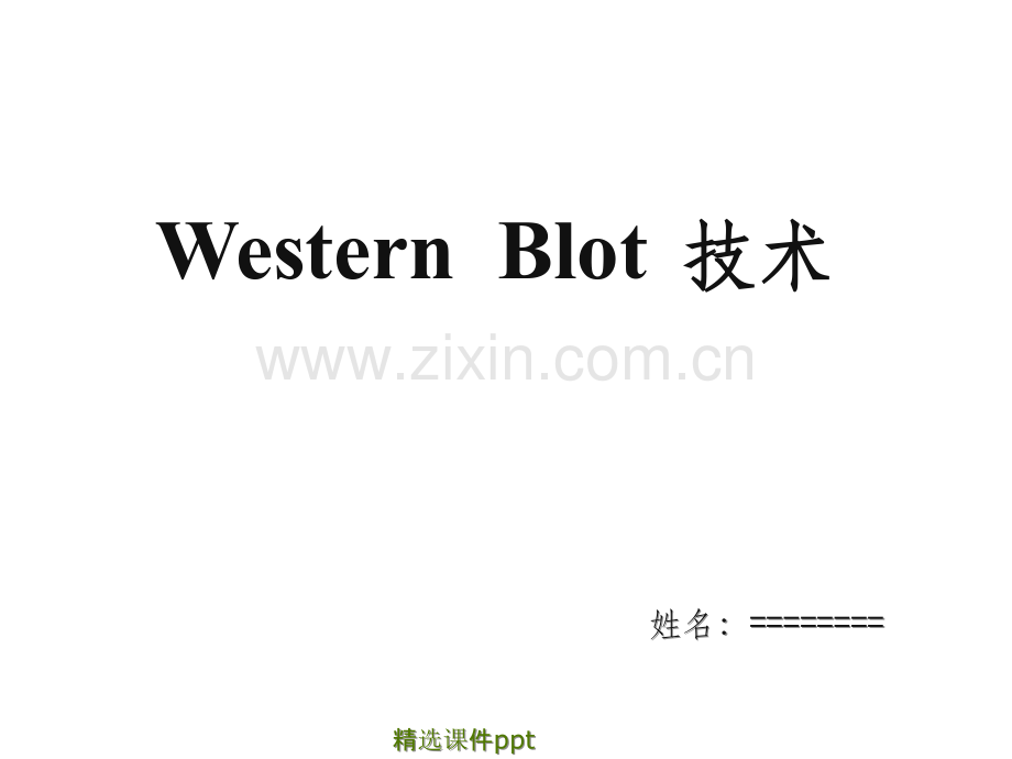 《westernblot技术》.ppt_第1页