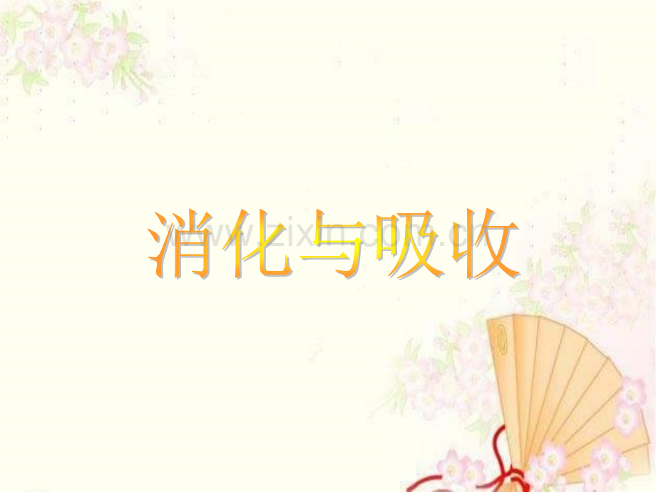 消化与吸收.ppt_第1页