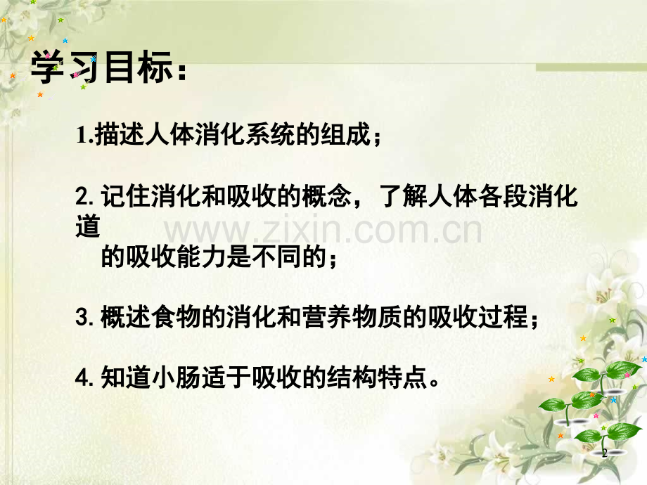 消化与吸收.ppt_第2页