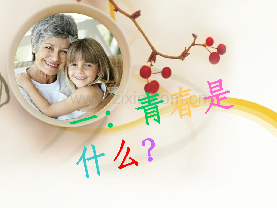 青春的模样(课件).ppt_第2页